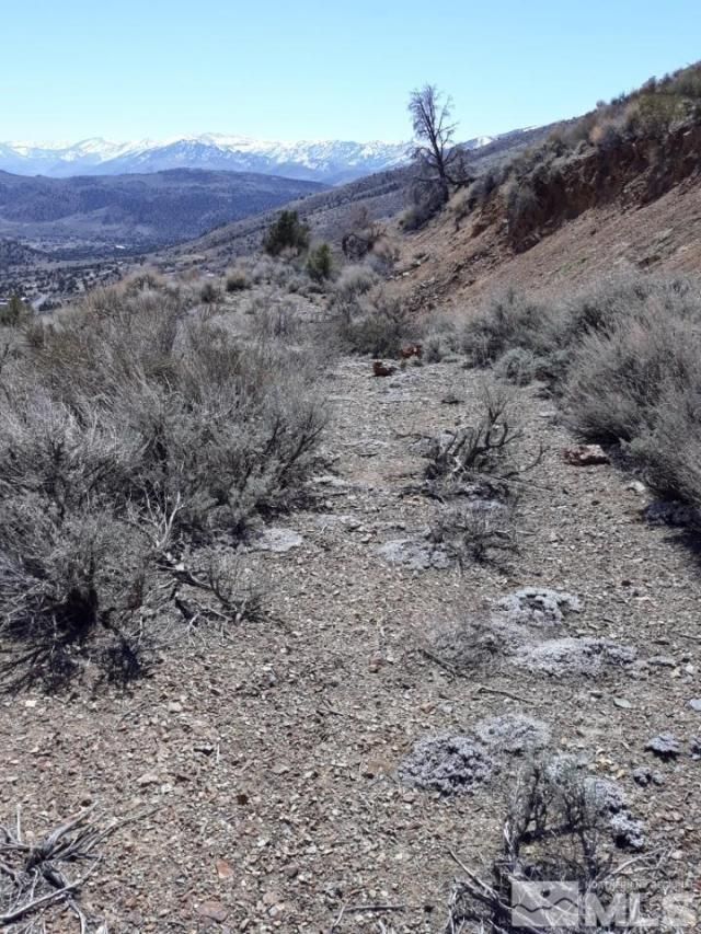 1196 Slate, Wellington, NV 89444 Photo