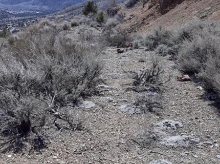 1196 Slate, Wellington, NV 89444 Photo