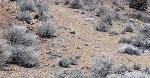 1196 Slate, Wellington, NV 89444 Photo