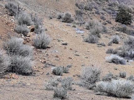 1196 Slate, Wellington, NV 89444 Photo