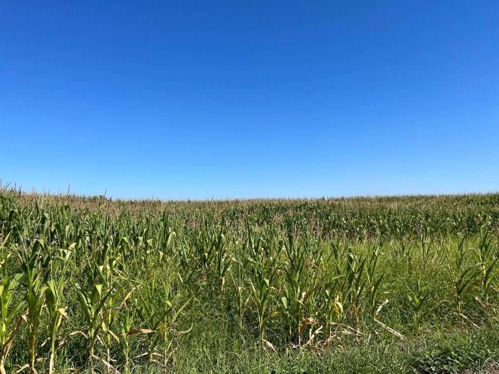 20444 S Lammers Road, Tracy, CA 95304 Main Photo