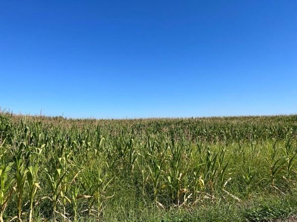 20444 S Lammers Road, Tracy, CA 95304