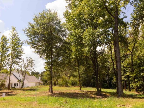 50 CROWN VISTA LN, Piperton, TN 38017
