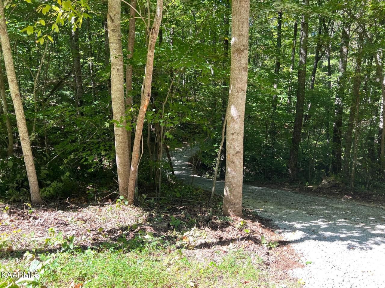 Green Place, Monterey, TN 38574 Main Photo