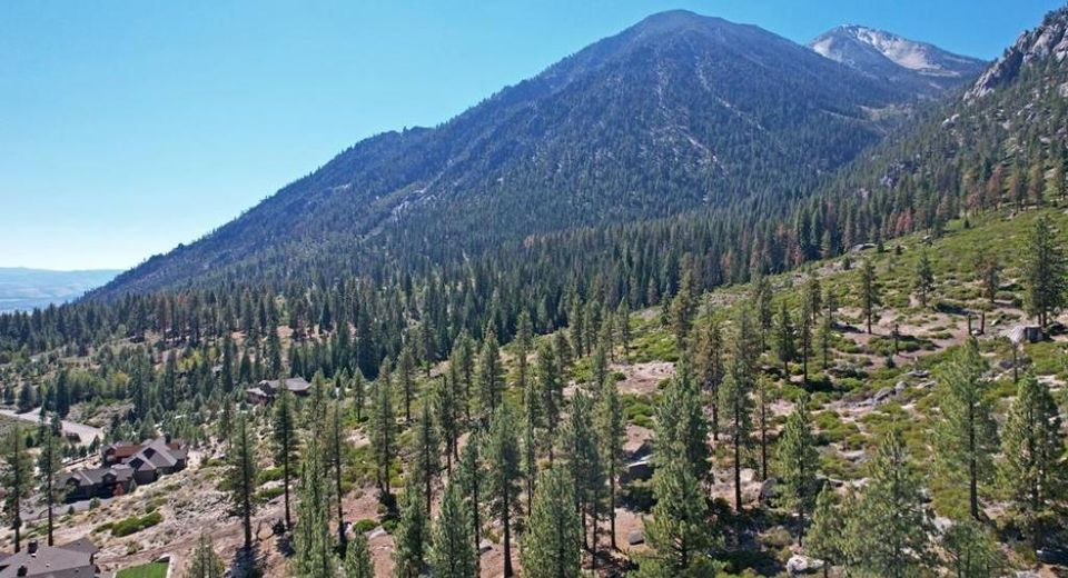 168 Five Creek Road, Gardnerville, NV 89460 Photo