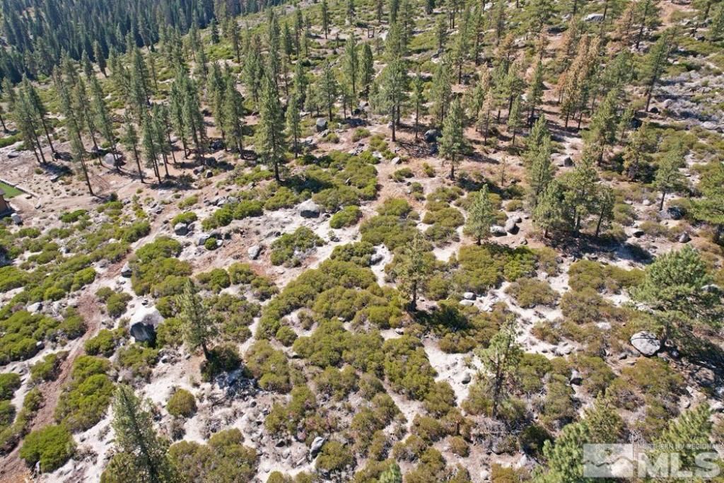 168 Five Creek Road, Gardnerville, NV 89460 Photo