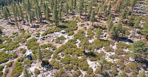 168 Five Creek Road, Gardnerville, NV 89460 Photo