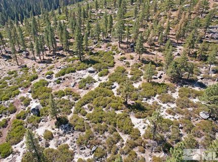 168 Five Creek Road, Gardnerville, NV 89460 Photo