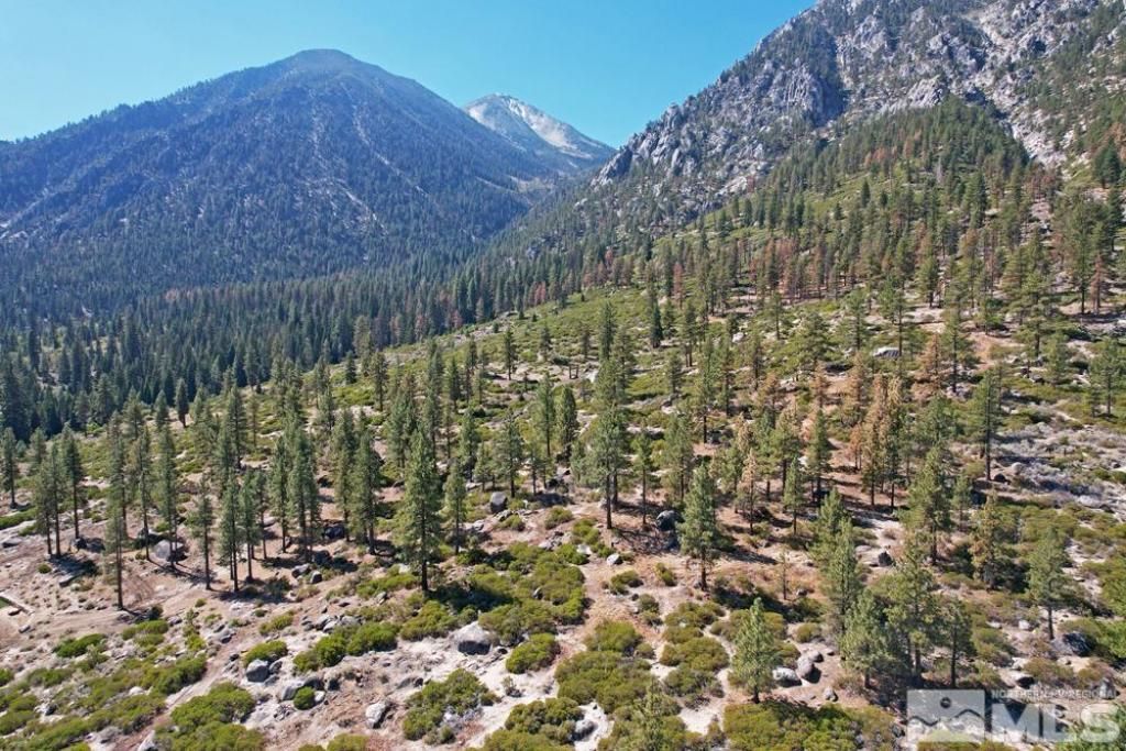 168 Five Creek Road, Gardnerville, NV 89460 Photo