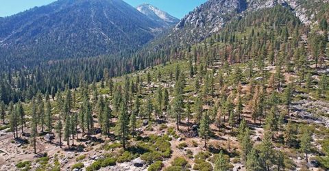 168 Five Creek Road, Gardnerville, NV 89460 Photo