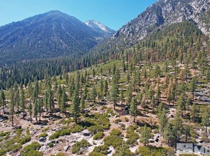 168 Five Creek Road, Gardnerville, NV 89460 Photo