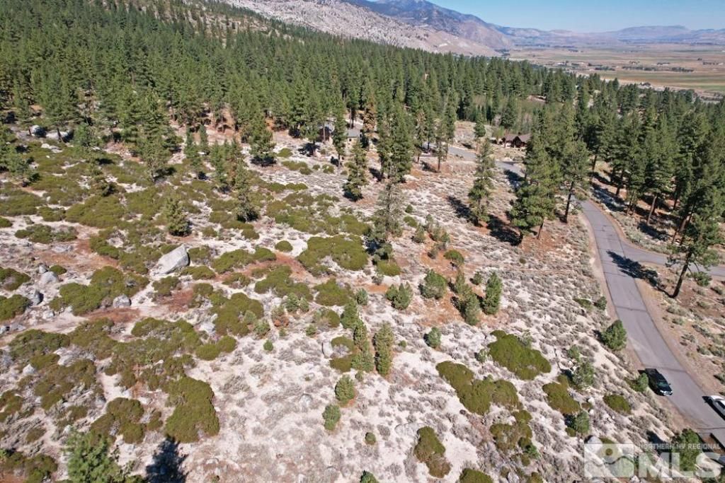 168 Five Creek Road, Gardnerville, NV 89460 Photo