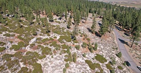 168 Five Creek Road, Gardnerville, NV 89460 Photo