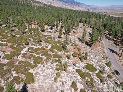 168 Five Creek Road, Gardnerville, NV 89460 Photo