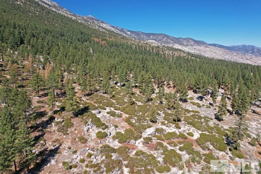 168 Five Creek Road, Gardnerville, NV 89460 Photo