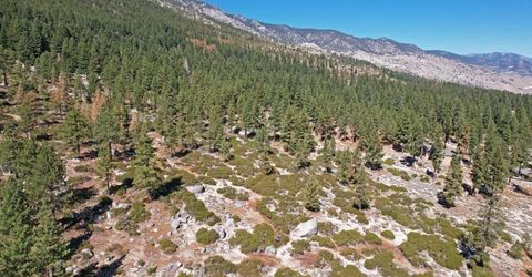 168 Five Creek Road, Gardnerville, NV 89460 Photo