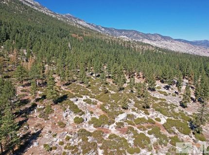 168 Five Creek Road, Gardnerville, NV 89460 Photo