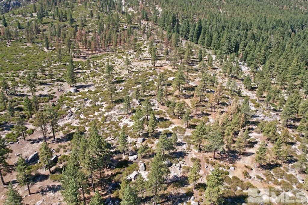 168 Five Creek Road, Gardnerville, NV 89460 Photo