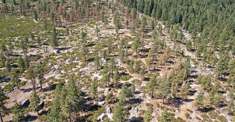 168 Five Creek Road, Gardnerville, NV 89460 Photo