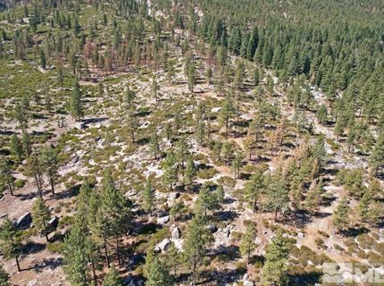 168 Five Creek Road, Gardnerville, NV 89460 Photo