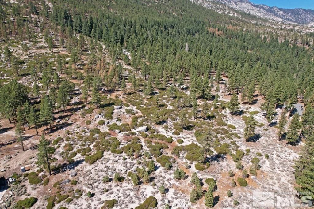 168 Five Creek Road, Gardnerville, NV 89460 Photo