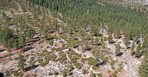 168 Five Creek Road, Gardnerville, NV 89460 Photo