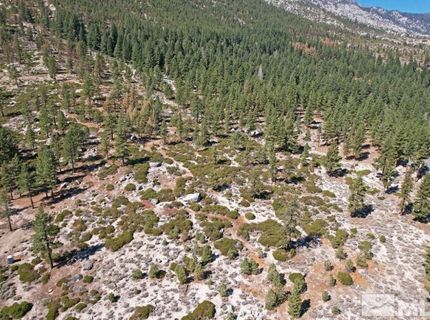 168 Five Creek Road, Gardnerville, NV 89460 Photo