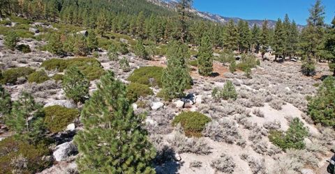 168 Five Creek Road, Gardnerville, NV 89460 Photo