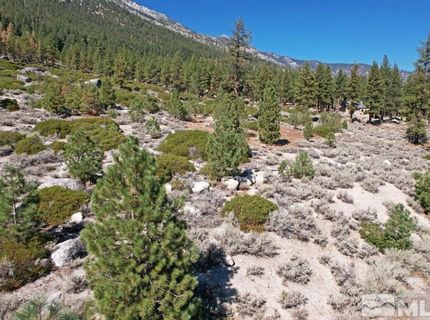 168 Five Creek Road, Gardnerville, NV 89460 Photo