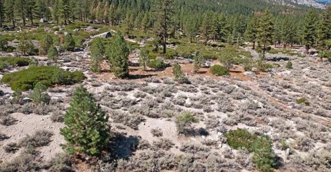 168 Five Creek Road, Gardnerville, NV 89460 Photo