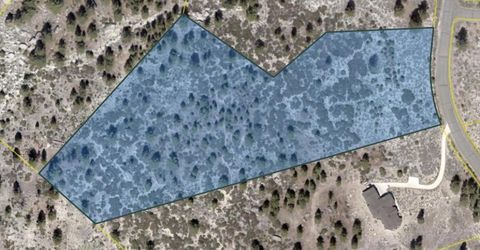 168 Five Creek Road, Gardnerville, NV 89460 Photo