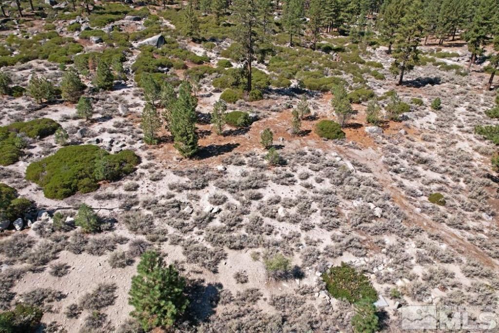 168 Five Creek Road, Gardnerville, NV 89460 Photo