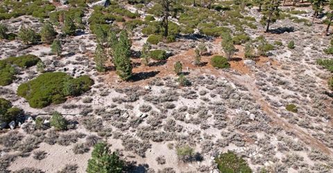 168 Five Creek Road, Gardnerville, NV 89460 Photo