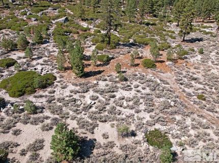 168 Five Creek Road, Gardnerville, NV 89460 Photo