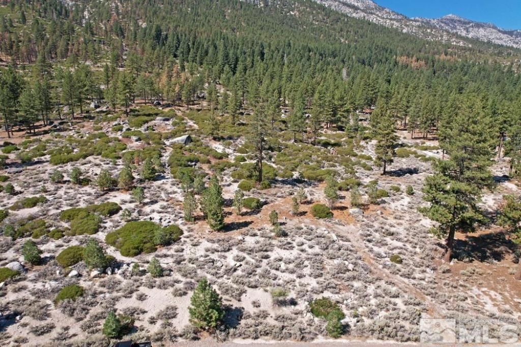 168 Five Creek Road, Gardnerville, NV 89460 Photo