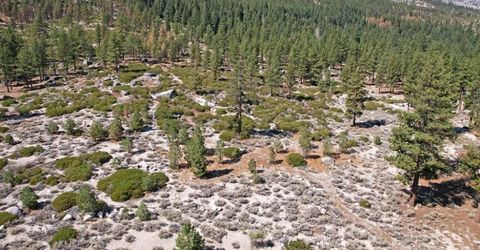 168 Five Creek Road, Gardnerville, NV 89460 Photo