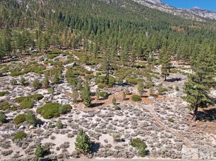 168 Five Creek Road, Gardnerville, NV 89460 Photo