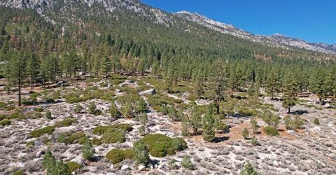 168 Five Creek Road, Gardnerville, NV 89460 Photo