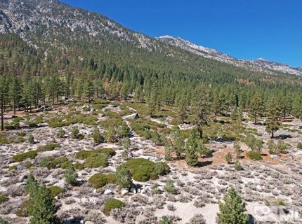 168 Five Creek Road, Gardnerville, NV 89460 Photo