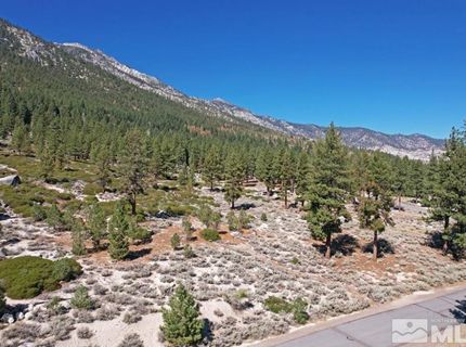 168 Five Creek Road, Gardnerville, NV 89460 Photo