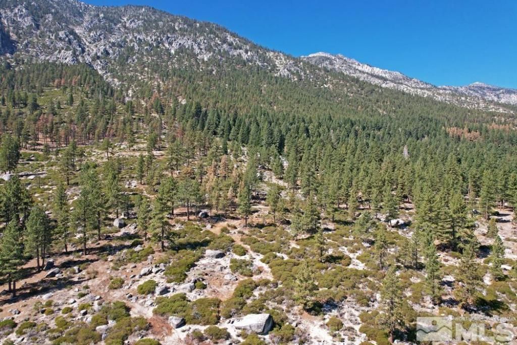 168 Five Creek Road, Gardnerville, NV 89460 Photo