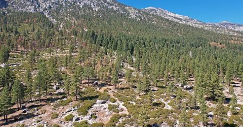 168 Five Creek Road, Gardnerville, NV 89460 Photo