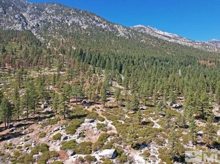 168 Five Creek Road, Gardnerville, NV 89460 Photo