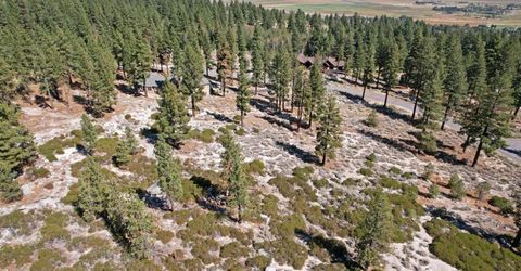 168 Five Creek Road, Gardnerville, NV 89460 Photo