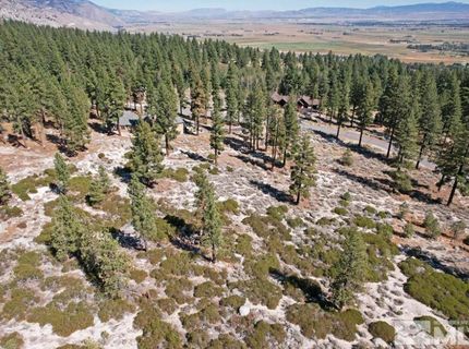 168 Five Creek Road, Gardnerville, NV 89460 Photo