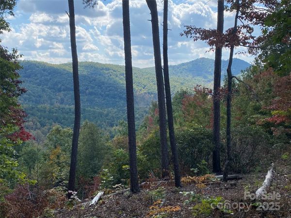 61 Scenic Vista Drive, Nebo, NC 28761