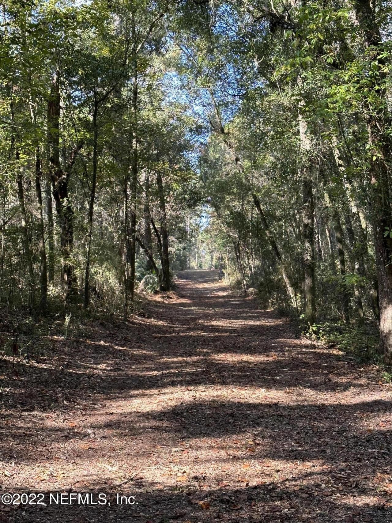 0 Foxtail Avenue, Middleburg, FL 32068 Photo