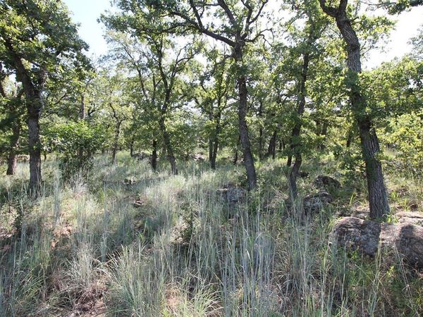 Lot 265 Ridgeline Drive, Chico, TX 76431