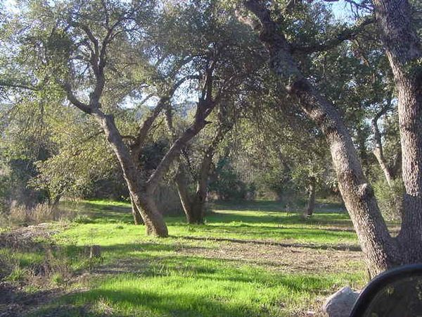 52975 E HARPER Road, Miami, AZ 85539