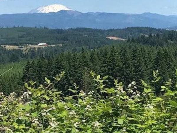 Cater (East) Rd, Warren, OR 97053